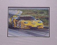 Rolex24 at Daytona, 2001 Earnhardt Corvette C5-R, Item #EG26012