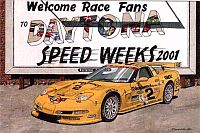 Daytona Victor, Corvette C5-R #2, Item #DF25029