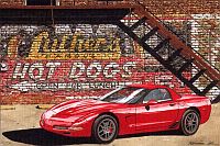 A Pair of Hot Dogs, C5 Corvette Z06, Item #DF25051